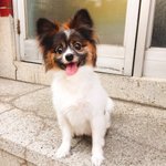 <b>루비</b>야 다음생애에도 태용이랑 만나서 재밌게 놀자