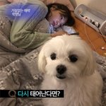 대박 귀여운거 보여줄까