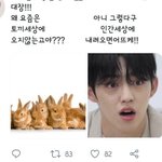 [세븐틴] 혹시 지금까지 안자는 <b>캐럿</b>있어?