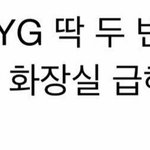 얘들아 디자인 <b>특이</b>한 옷 어디서 사?