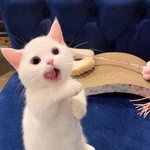 [19] 얘드라 당근<b>마켓</b>에서
