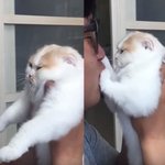 [드루와] <b>민초</b>파들 있냐