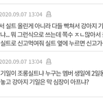 톡선에서 강아지기일 <b>실트</b> 내려달라했더니