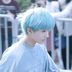 <b>박쥐</b>성이 파란머리 보고쟙다
