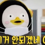 [댓글부탁해] 지금 맨투맨입고 나가는거 에바냐