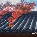<b>가을</b> 사진 - 지난날의 추억