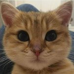 <b>그룹별</b> 떠오르는 색깔