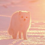 얘들아 나 <b>수전증</b>이 점점 심해져