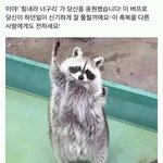 <b>국</b><b>숭</b>세단 갈 수 있는 대신 10보에 한 번씩 절 해야 함