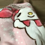 <b>담요</b> ㅈㄴ 뽀땃해