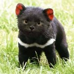 [모두드루와] <b>본진노래</b> 추천해줘!!!!