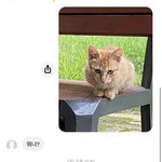 누가 잘못한 건지 봐주랴...