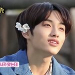 썸남이 귀에 꽃 꽂은 사진 보내줬는데 진짜 <b>사</b><b>겨</b>야하나