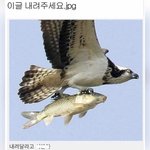 [댓글부탁해] 다이어트할<b>때</b> <b>요</b>거트있잖아