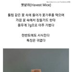 내일 학교 갈 때 옷 뭐 <b>입지</b>
