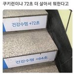 야 <b>태풍</b>났냐