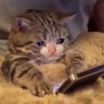 [NCT] 마크 짤 좀 찾아주시깅....ㅜㅜ