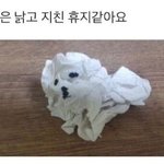[댓글부탁해] <b>카스</b> 가입하고 바로 탈퇴