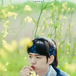 아 또 달연병 조졌네 미친