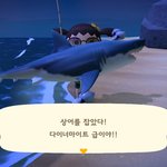 [댓글부탁해] 얘들아 나 <b>상어</b>잡음