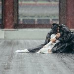 달의연인 <b>찌통</b>짤