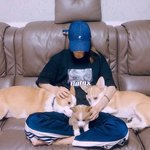 아이돌 멍멍 선수권 대회(아멍대) 라인업 정리