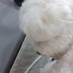 애<b>엄마</b>들의 <b>마음</b>을 ㅈㄴ알겠음