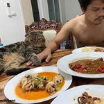 내 남편을 빼앗긴 것 같아요...