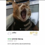 [댓글부탁해] 피부좋아지는법