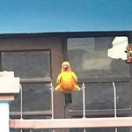 [알페스] ㄱㅁ <b>쿼</b><b>카</b>님