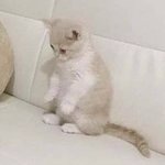 [댓글부탁해] 얘들아 친구한테 정떨어질 때 언제야 꼭 알려줘ㅠㅠ