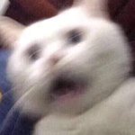 나만 아이폰 충전할때 <b>진동</b> 안 됨...??