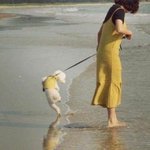 [19] <b>민초</b> 싸움보다 이게 더 치열할 껄