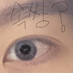 이거 <b>속</b><b>쌍</b>이야 ??