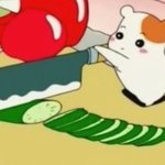 아까 <b>거세</b> 누구냐 갖다대봐