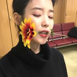 [드루와] 아이유가 자랑하고 다니는 꽃 <b>정체</b>