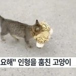 [댓글부탁해] <b>페북</b>친신하고 인스타 팔로는 달라?