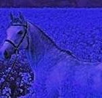 엥 너네 다 마스크 <b>중형</b> 안끼고 대형 껴??