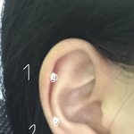귓바퀴 뚫을건디 <b>위치</b> 추천좀?!!!!!