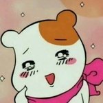 [NCT] 나 진짜 한즈니들한테 입덕할까봐 ㅠ