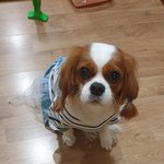 [조언과댓글] 누가 이기적이고 나쁜건가요?