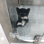 [댓글부탁해] 야 아파트 <b>벤치</b>에서 마스크 벗고 셀카찍는거 오바?...