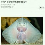 <b>와플</b>칸 아는사람