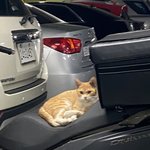 물리 잘 하는 얘드라 <b>속도</b> 좀 구해줘ㅠㅠ