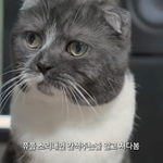 <b>estj</b>는 어떤성격이니