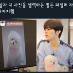 김우석 강아지 이름 왜 <b>메종</b>따따임?