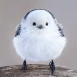 [댓글부탁해] 얘드랑 <b>가슴</b> 갑자기 확 큰 애들 <b>이</b>써?
