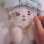 [NCT] 마크 버블 <b>유출</b>