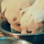 새 드라마에서 사람들 심장 부여잡게 하는 것