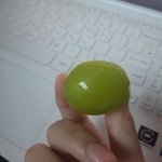 <b>샤인</b>머스캣 맛있겠지